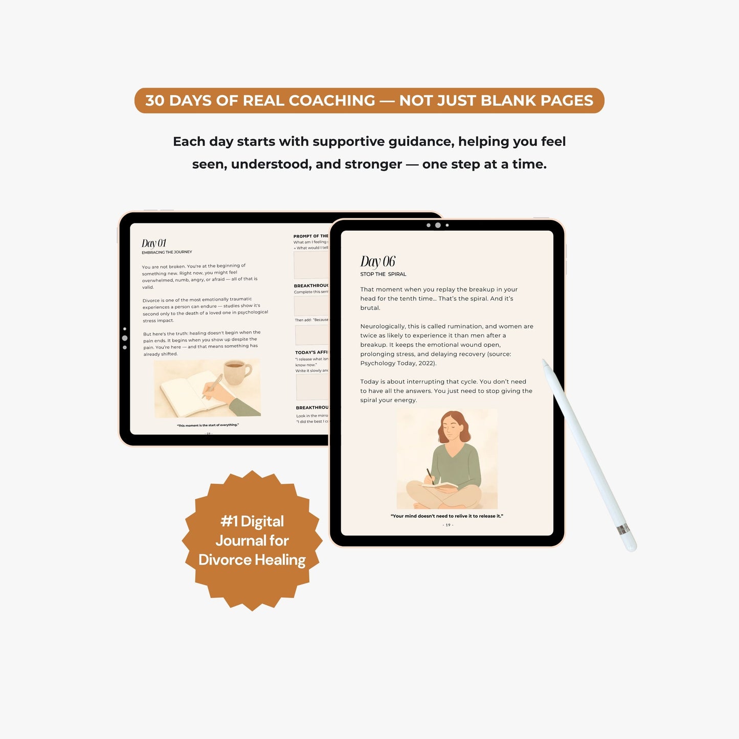 The Divorce Recovery Journal