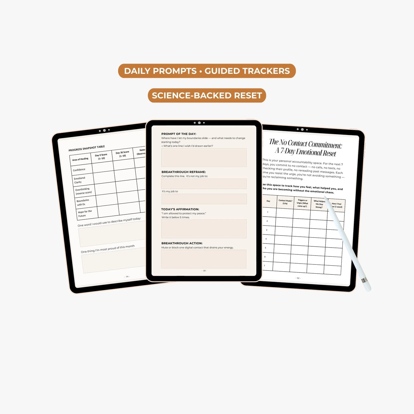 The Divorce Recovery Journal