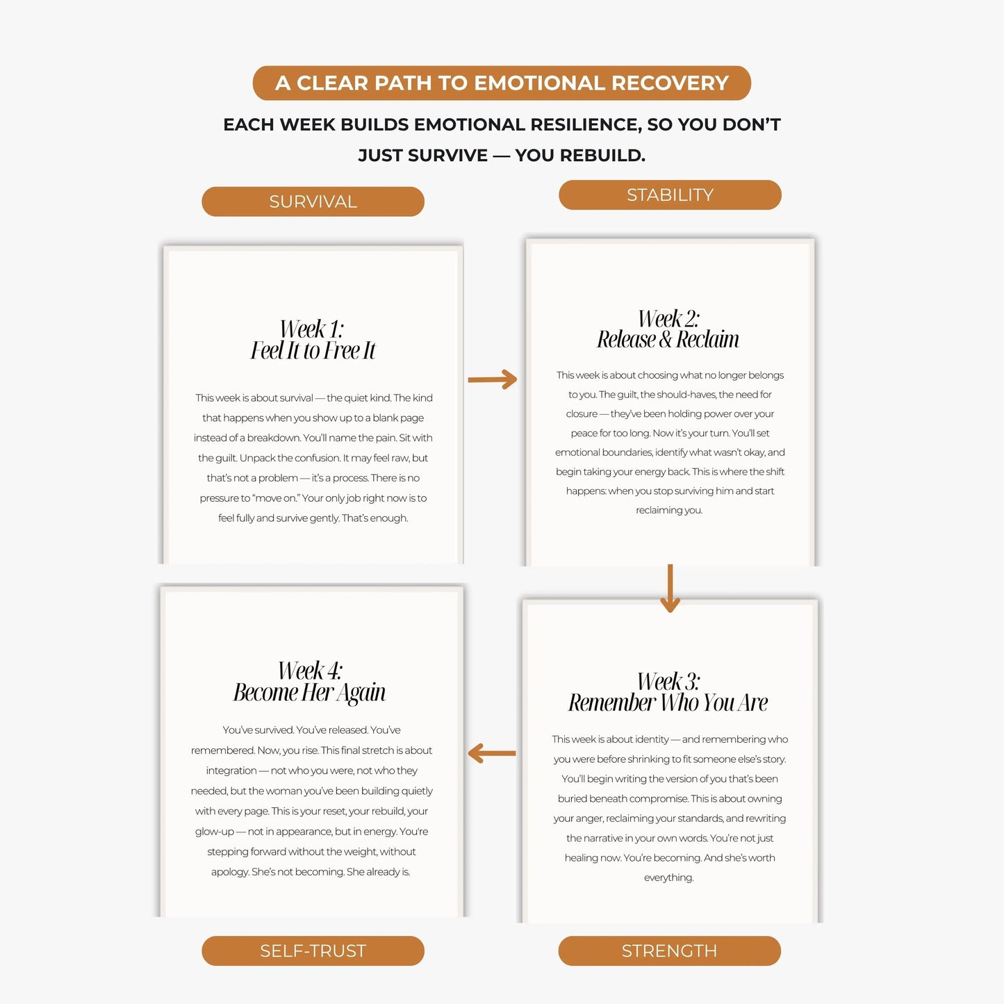 The Divorce Recovery Journal