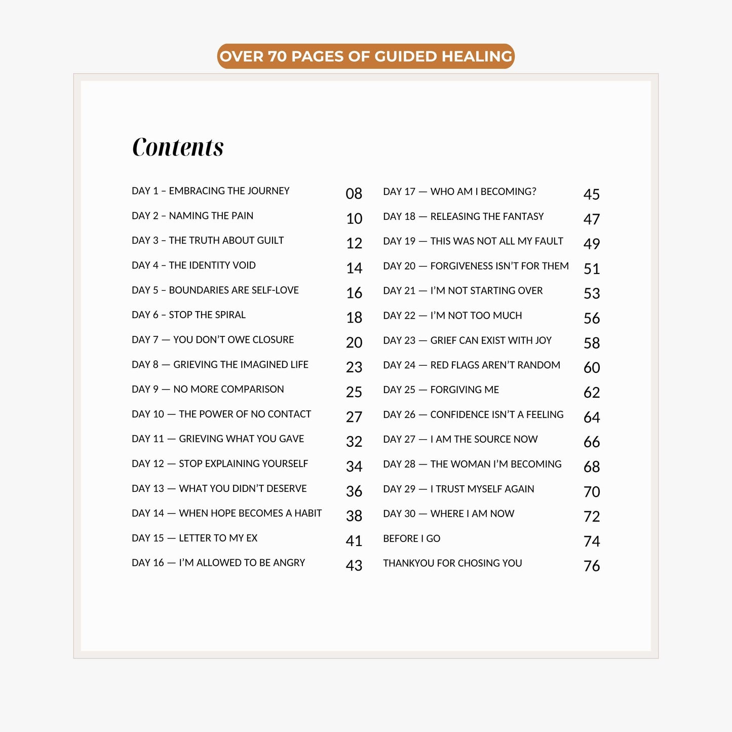 The Divorce Recovery Journal